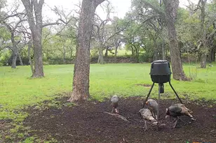 110 Guadalupe Dr, Oglesby, TX 76561 - Photo 43