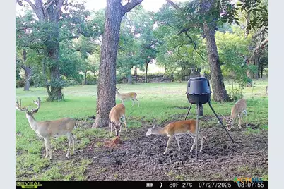 110 Guadalupe Drive, Oglesby, TX 76561 - Photo 43