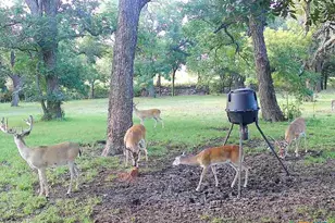 110 Guadalupe Dr, Oglesby, TX 76561 - Photo 43