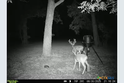 110 Guadalupe Drive, Oglesby, TX 76561 - Photo 41