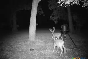 110 Guadalupe Dr, Oglesby, TX 76561 - Photo 41