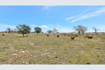 1103 Berger Road, Goliad, TX 77963 - Photo 7