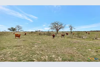 1103 Berger Road, Goliad, TX 77963 - Photo 17