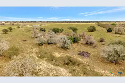 1103 Berger Road, Goliad, TX 77963 - Photo 5