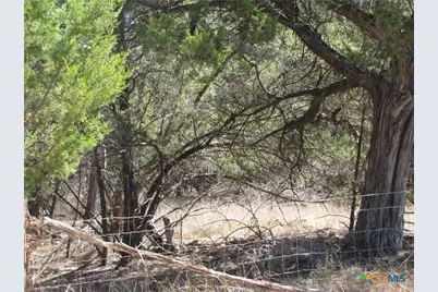 678 Cannan Road, Canyon Lake, TX 78133 - Photo 3