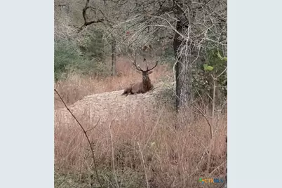 494 Flash Circle, Luling, TX 78648 - Photo 41