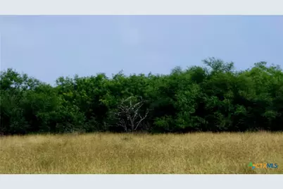 00 San Antonio River Road, Victoria, TX 77905 - Photo 5