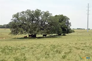 Tbd Old McMahan Rd, Lockhart, TX 78644 - Photo 7