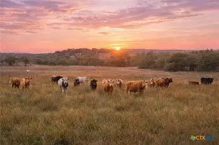 0 Limestone Hollow, Wimberley, TX 78676 - Photo 3