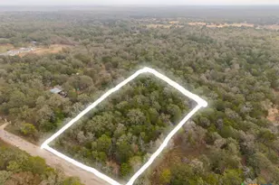 Lot 99073 Milam, Bastrop, TX 78602 - Photo 19