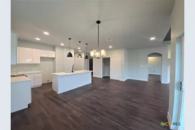 206 Lewis Todd, Blanco, TX 78606 - Photo 9