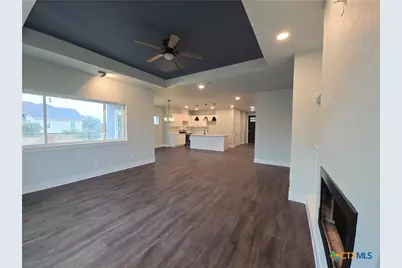 206 Lewis Todd, Blanco, TX 78606 - Photo 3