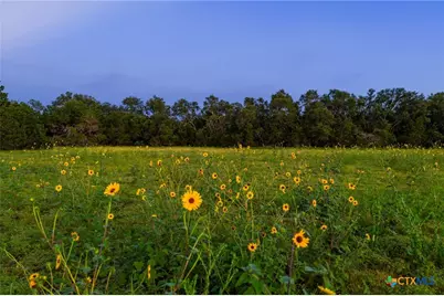 2055 County Road 284, Liberty Hill, TX 78642 - Photo 7