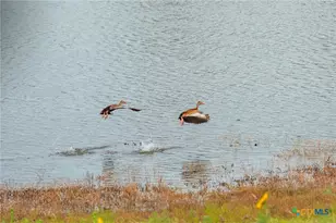 2055 Co Rd 284, Liberty Hill, TX 78642 - Photo 35