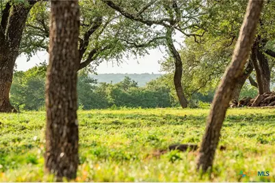 000 Cr 284, Liberty Hill, TX 78642 - Photo 7