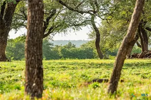 000 Cr 284, Liberty Hill, TX 78642 - Photo 7