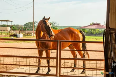 000 Cr 284, Liberty Hill, TX 78642 - Photo 29