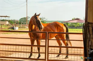 000 Cr 284, Liberty Hill, TX 78642 - Photo 29