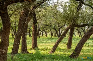 000 Cr 284, Liberty Hill, TX 78642 - Photo 33