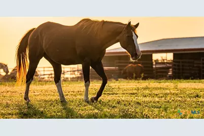 000 Cr 284, Liberty Hill, TX 78642 - Photo 5