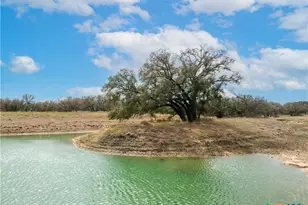 630 N Cr 531, Mullin, TX 76864 - Photo 43