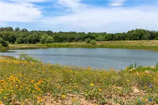 630 N Cr 531, Mullin, TX 76864 - Photo 41