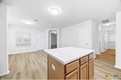 348 Ibis Falls Drive, New Braunfels, TX 78130 - Photo 19