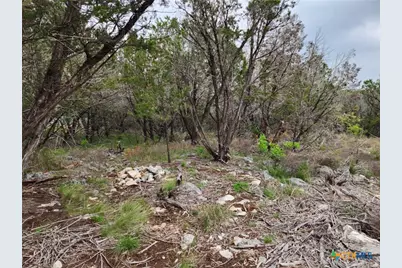 1745 Moon View Drive, New Braunfels, TX 78132 - Photo 5