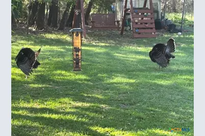 7511 N Lakeview Drive, Salado, TX 76571 - Photo 45