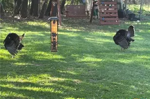 7511 N Lakeview Dr, Salado, TX 76571 - Photo 45