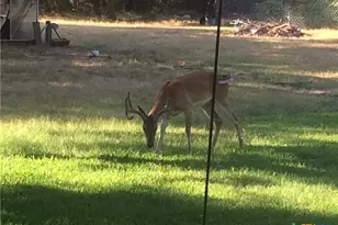 7511 N Lakeview Dr, Salado, TX 76571 - Photo 43