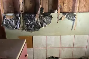 503 N Race St, Lampasas, TX 76550 - Photo 21