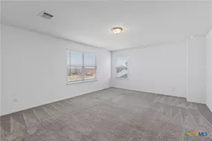 204 Benmyrtle Trl, Georgetown, TX 78626 - Photo 21