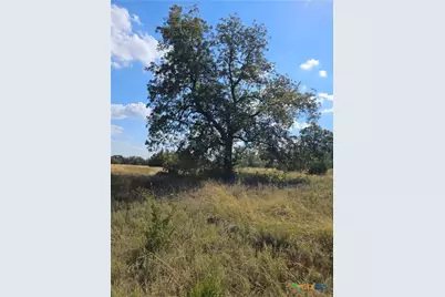 Tbd-29.38 Acres Greenbriar Road, Gatesville, TX 76528 - Photo 9