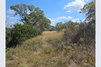 Tbd-29.38 Acres Greenbriar Road, Gatesville, TX 76528 - Photo 11