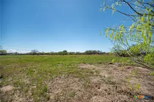 817 McAdams Rd, Goliad, TX 77963 - Photo 43