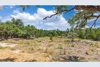 3225 Hawthorne Road, Spring Branch, TX 78070 - Photo 31