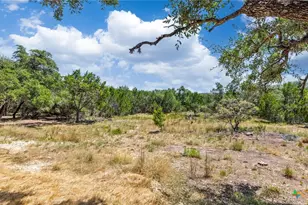 3225 Hawthorne Rd, Spring Branch, TX 78070 - Photo 27