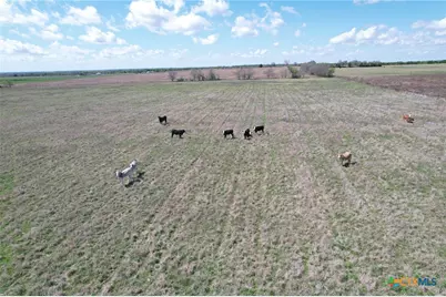 Cr 206 Cr 206, Cameron, TX 76520 - Photo 9