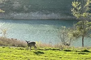 5200 Ledge Rd, Temple, TX 76502 - Photo 39