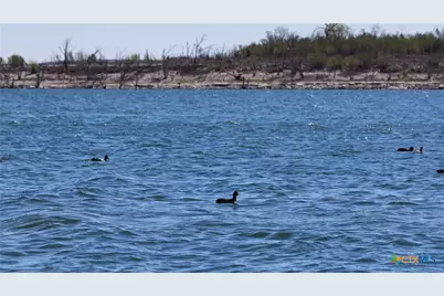 956 Lakebreeze Drive, Canyon Lake, TX 78133 - Photo 33