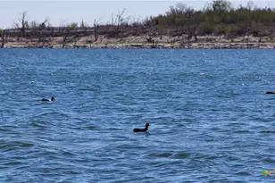 956 Lakebreeze Dr, Canyon Lake, TX 78133 - Photo 33