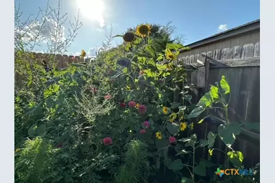 412 Dandridge Drive, Temple, TX 76592 - Photo 39