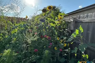 412 Dandridge Dr, Temple, TX 76592 - Photo 39