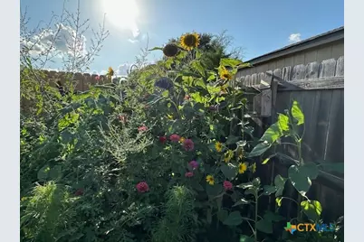 412 Dandridge Drive, Temple, TX 76592 - Photo 41