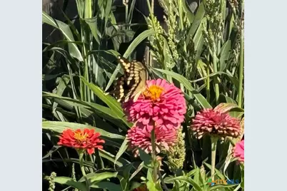 412 Dandridge Drive, Temple, TX 76592 - Photo 43