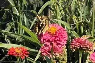 412 Dandridge Dr, Temple, TX 76592 - Photo 43