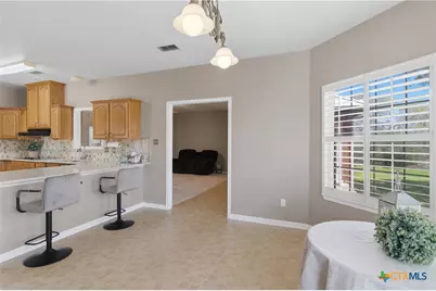 155 Guadalupe Ranch Lane, Seguin, TX 78155 - Photo 19