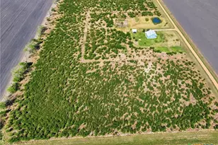 455 Buentello Rd, Victoria, TX 77905 - Photo 5