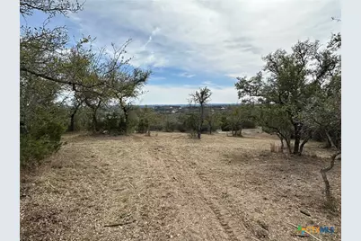 344 Bosque Ridge, Spring Branch, TX 78070 - Photo 3